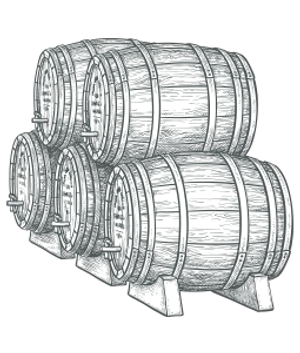 Professionell representation