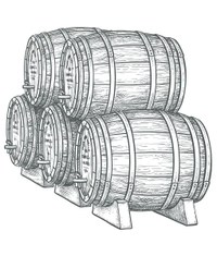 Professionell representation