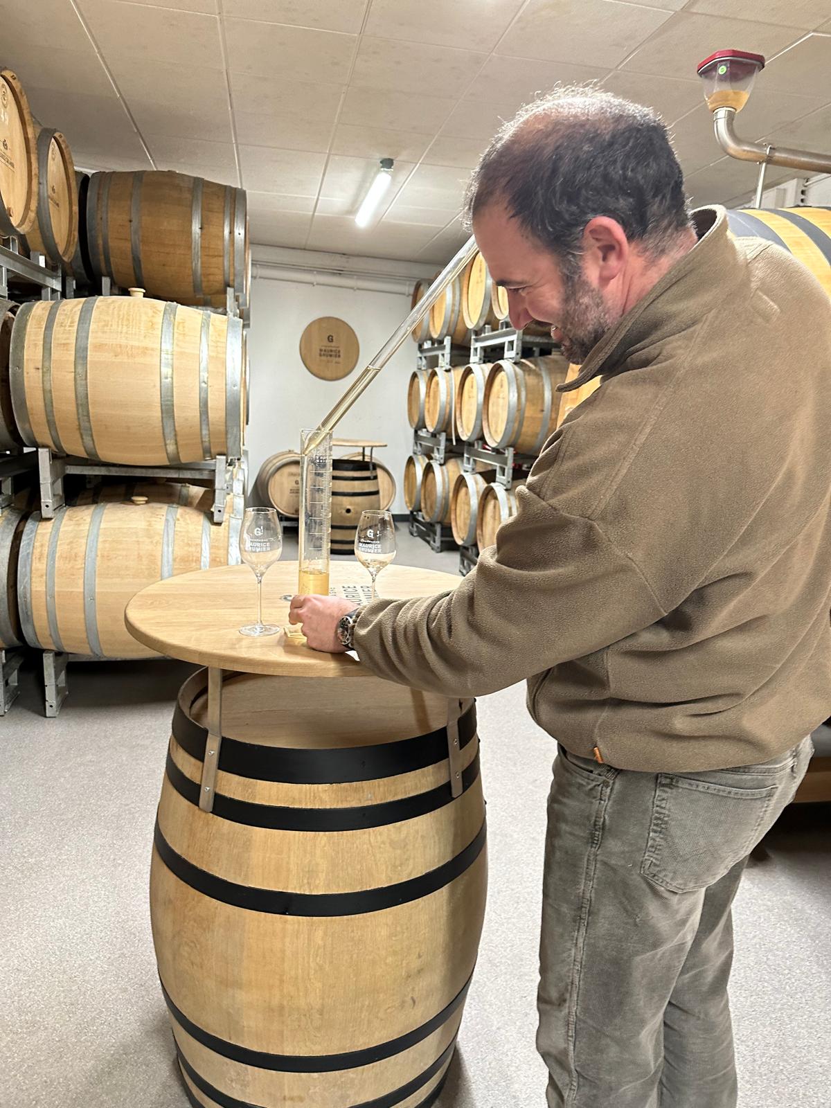 Provning i vinkällaren