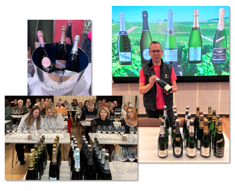 Vin i Umeå — November 2024